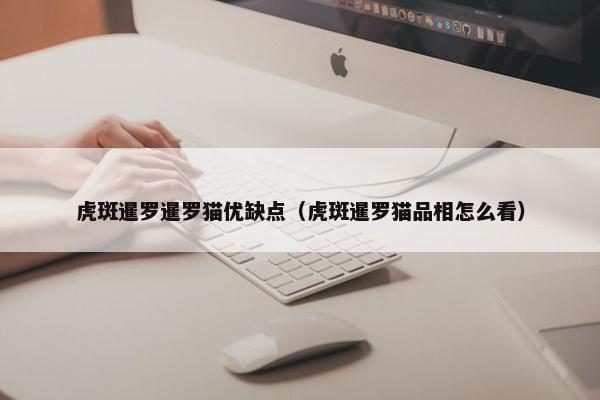 虎斑暹罗暹罗猫优缺点（虎斑暹罗猫品相怎么看）