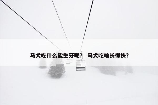马犬吃什么能生牙呢？ 马犬吃啥长得快？