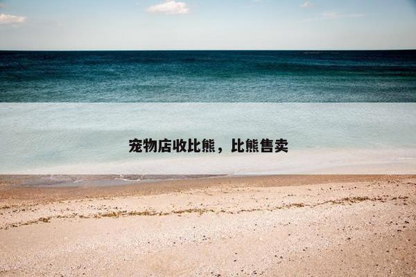 宠物店收比熊，比熊售卖