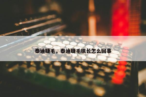 泰迪睫毛，泰迪睫毛很长怎么回事