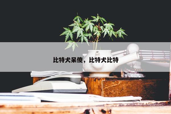 比特犬呆傻，比特犬比特