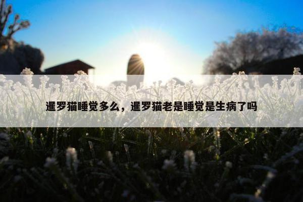 暹罗猫睡觉多么，暹罗猫老是睡觉是生病了吗