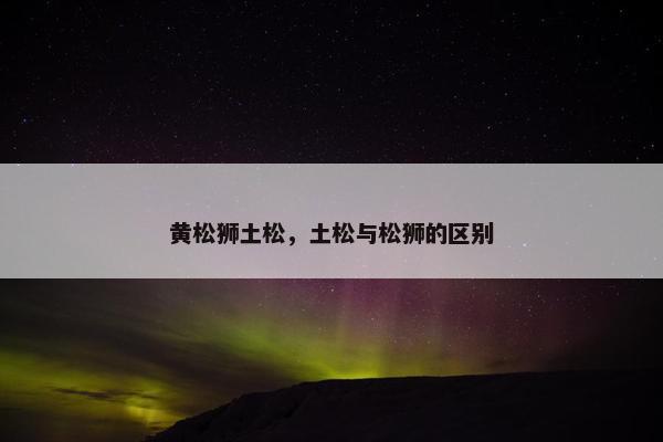 黄松狮土松，土松与松狮的区别