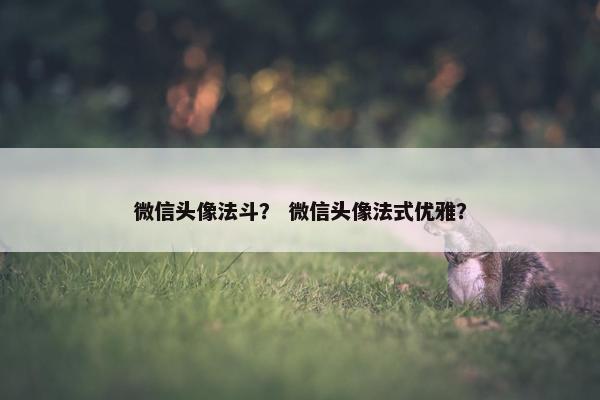 微信头像法斗? 微信头像法式优雅?
