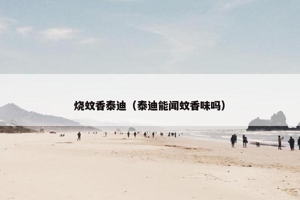 烧蚊香泰迪（泰迪能闻蚊香味吗）