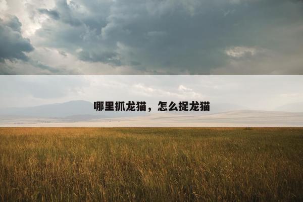 哪里抓龙猫，怎么捉龙猫