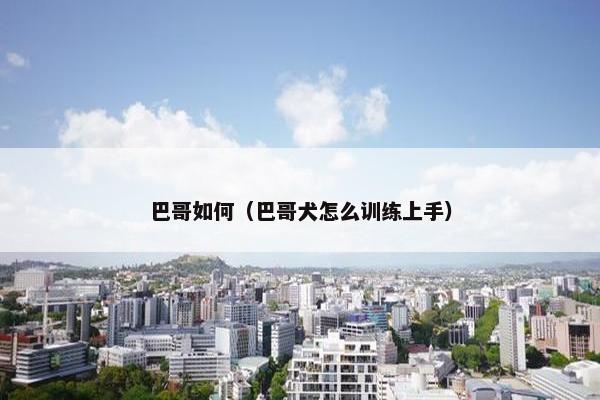 巴哥如何（巴哥犬怎么训练上手）