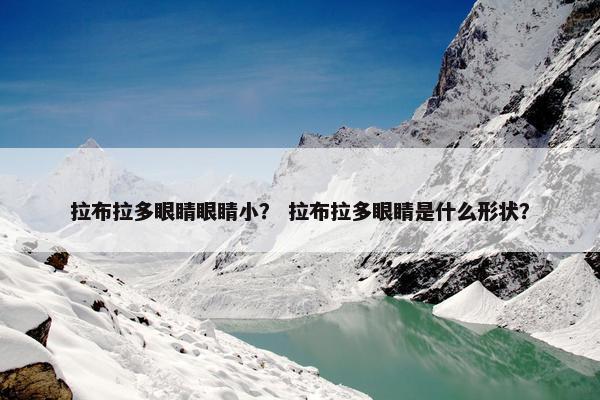 拉布拉多眼睛眼睛小？ 拉布拉多眼睛是什么形状？