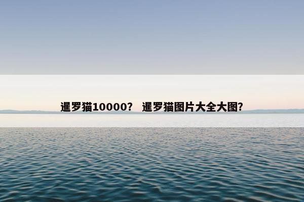 暹罗猫10000？ 暹罗猫图片大全大图？