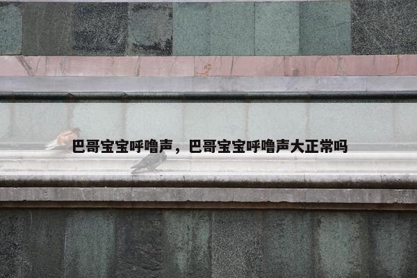 巴哥宝宝呼噜声，巴哥宝宝呼噜声大正常吗