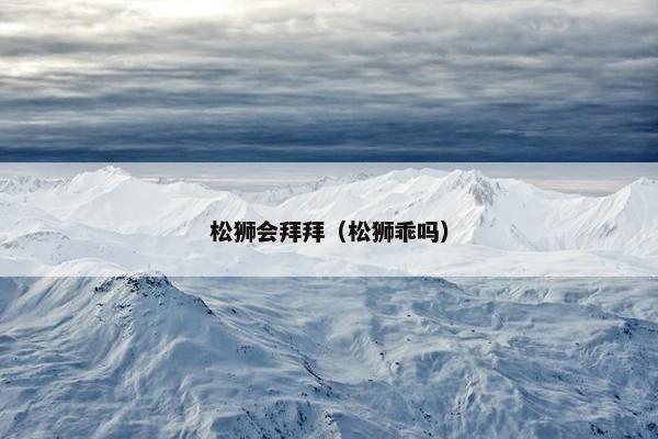 松狮会拜拜(松狮乖吗)