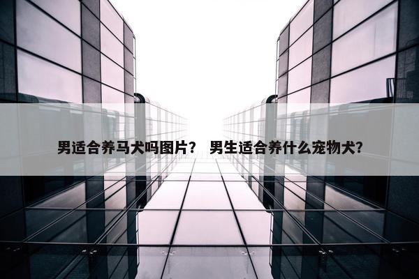 男适合养马犬吗图片？ 男生适合养什么宠物犬？