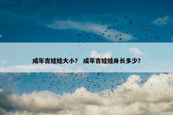 成年吉娃娃大小？ 成年吉娃娃身长多少？