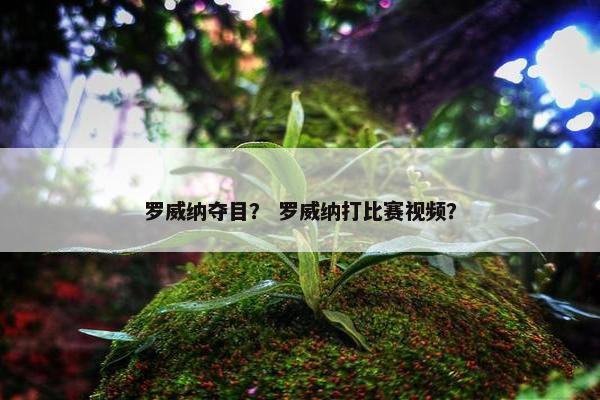 罗威纳夺目？ 罗威纳打比赛视频？