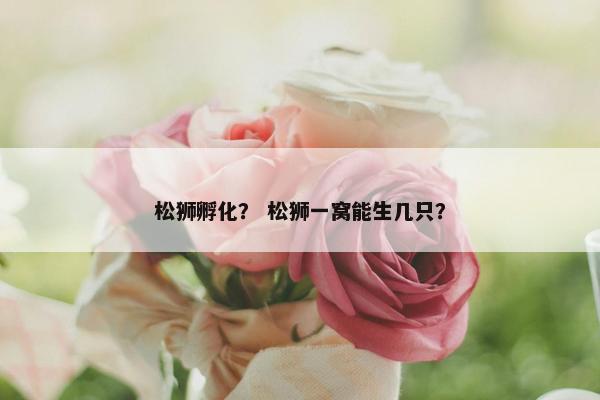 松狮孵化? 松狮一窝能生几只?