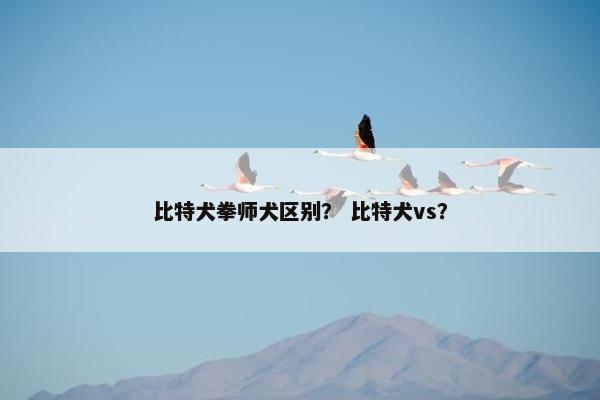 比特犬拳师犬区别？ 比特犬vs？