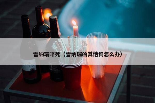 雪纳瑞吓死（雪纳瑞凶其他狗怎么办）