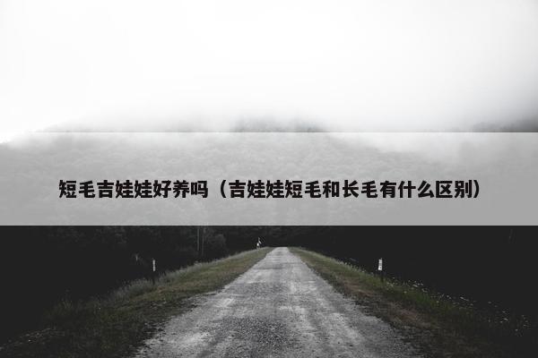 短毛吉娃娃好养吗（吉娃娃短毛和长毛有什么区别）