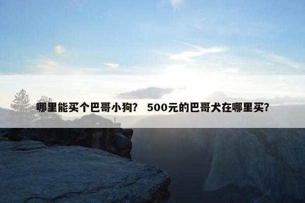 哪里能买个巴哥小狗? 500元的巴哥犬在哪里买?