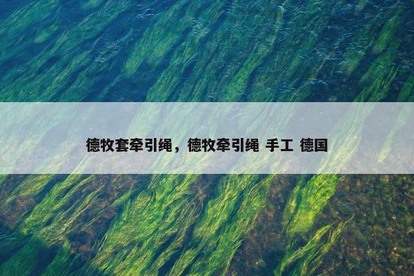 德牧套牵引绳，德牧牵引绳 手工 德国