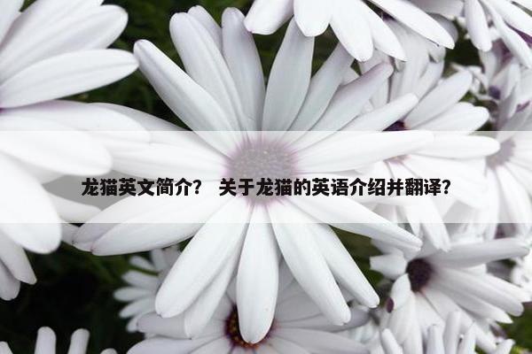 龙猫英文简介？ 关于龙猫的英语介绍并翻译？