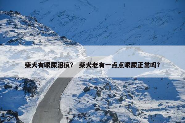 柴犬有眼屎泪痕？ 柴犬老有一点点眼屎正常吗？