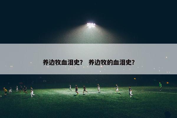 养边牧血泪史？ 养边牧的血泪史？