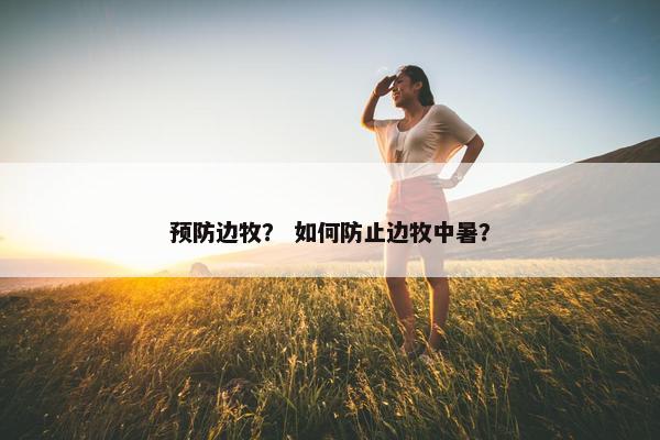 预防边牧? 如何防止边牧中暑?