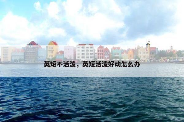 英短不活泼，英短活泼好动怎么办