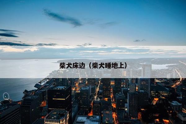 柴犬床边(柴犬睡地上)