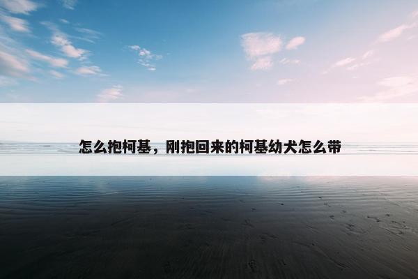 怎么抱柯基，刚抱回来的柯基幼犬怎么带