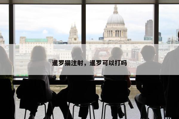 暹罗猫注射,暹罗可以打吗