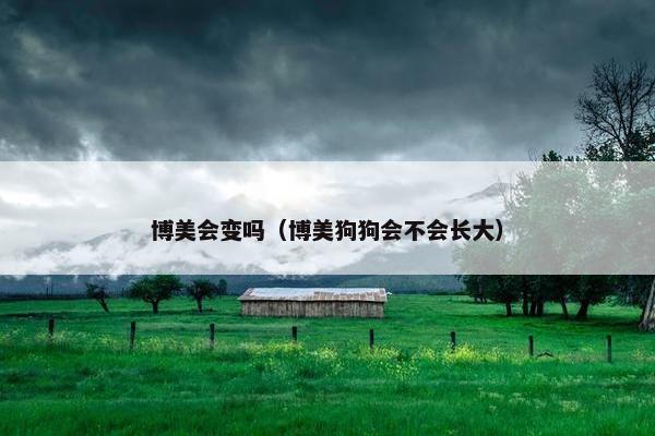 博美会变吗(博美狗狗会不会长大)