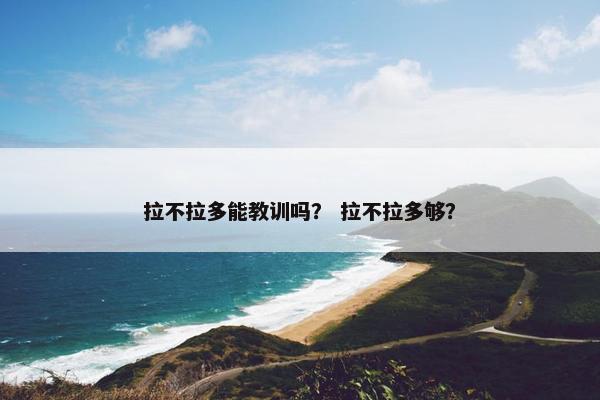 拉不拉多能教训吗? 拉不拉多够?