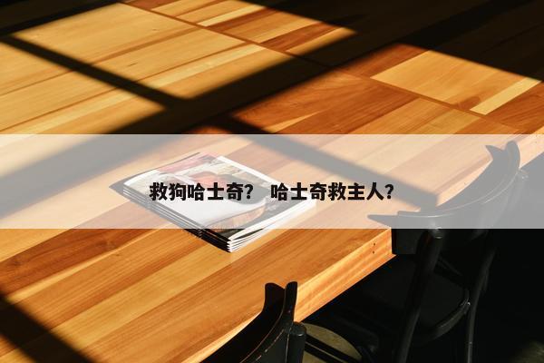 救狗哈士奇？ 哈士奇救主人？