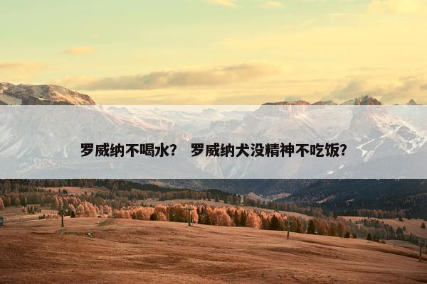 罗威纳不喝水？ 罗威纳犬没精神不吃饭？