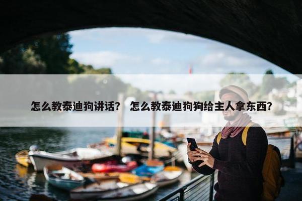 怎么教泰迪狗讲话？ 怎么教泰迪狗狗给主人拿东西？