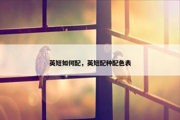 英短如何配，英短配种配色表