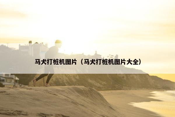 马犬打桩机图片（马犬打桩机图片大全）