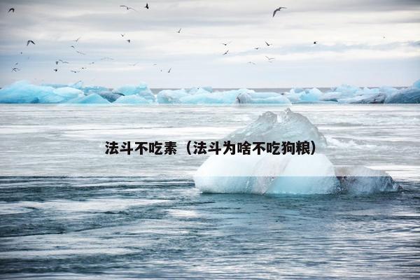 法斗不吃素(法斗为啥不吃狗粮)