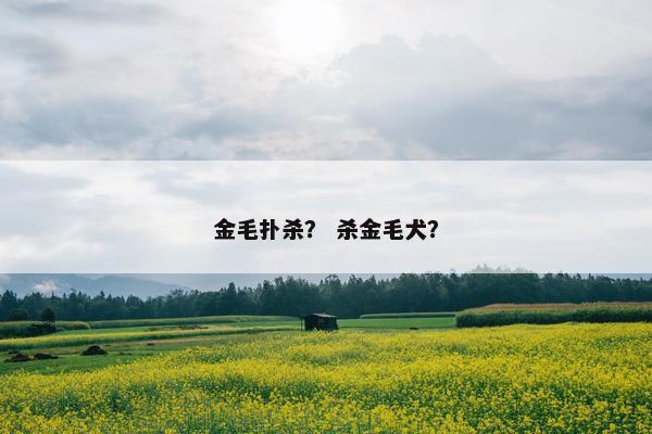 金毛扑杀？ 杀金毛犬？