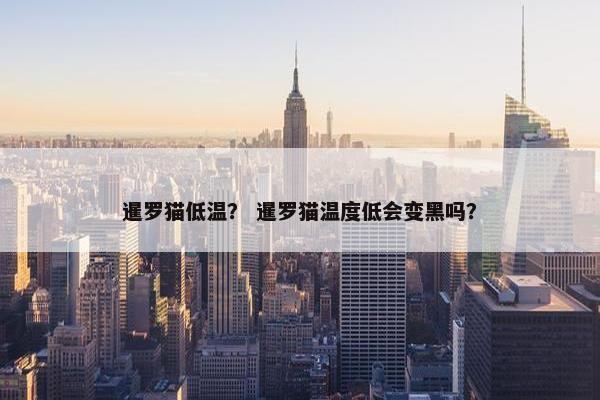 暹罗猫低温? 暹罗猫温度低会变黑吗? 暹罗猫低温? 暹罗猫温度低会变黑吗?