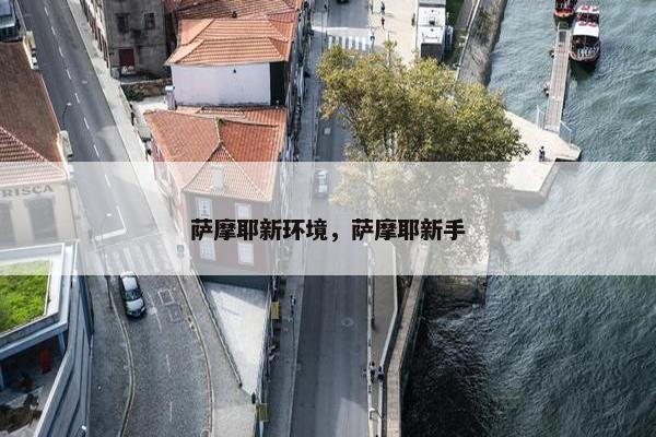 萨摩耶新环境，萨摩耶新手