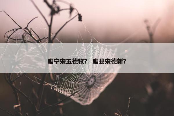 睢宁宋五德牧? 睢县宋德新?