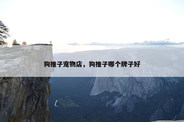 狗推子宠物店，狗推子哪个牌子好