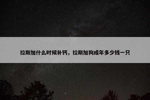拉斯加什么时候补钙，拉斯加狗成年多少钱一只