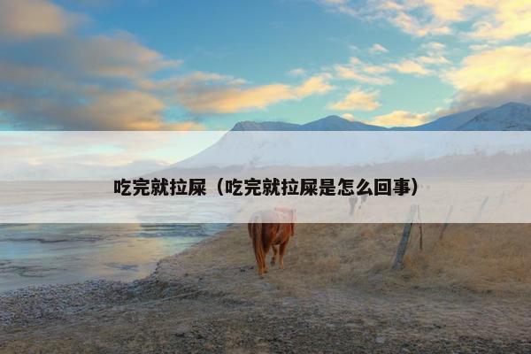 吃完就拉屎(吃完就拉屎是怎么回事)