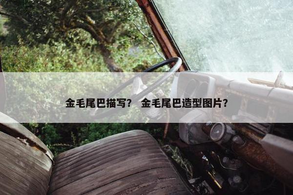 金毛尾巴描写? 金毛尾巴造型图片?