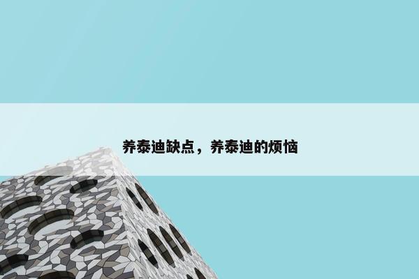 养泰迪缺点，养泰迪的烦恼