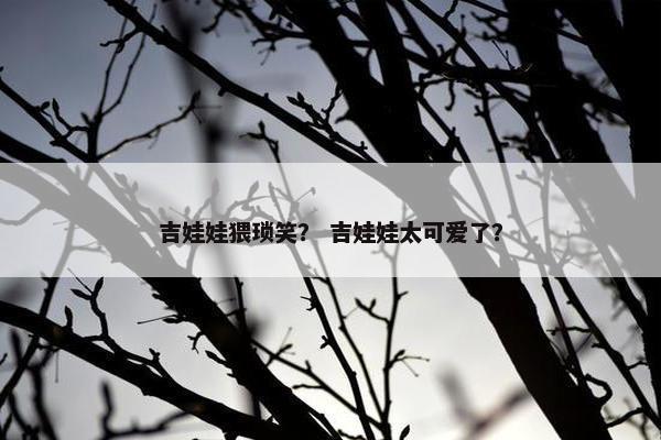 吉娃娃猥琐笑？ 吉娃娃太可爱了？